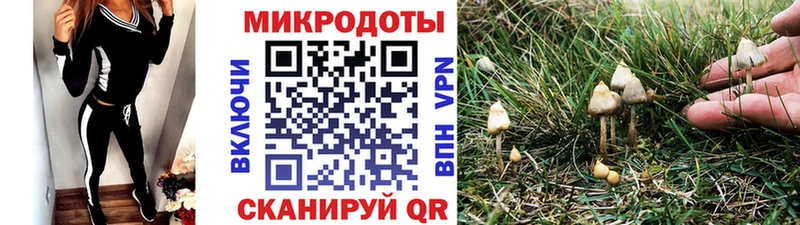 hydra ONION Кизел Псилоцибиновые грибы Magic Shrooms